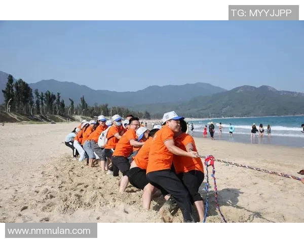 多元文化战队的魅力与挑战：探索多国选手共创辉煌的团队文化